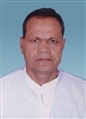 Vishnubhai Babaldas Patel - Visnagar