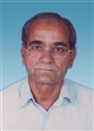 Jayantibhai Vitthaldas Patel - Ahmedabad