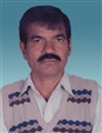 Amrutlal Narandas Patel - Ahmedabad
