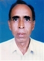 Nandulal Babaldas Patel - Unjha