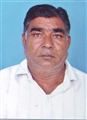 Bipinbhai Ishvarbhai Patel - Unjha - Mollot