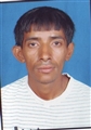 Alpeshkumar Somabhai Patel - Unjha - Mollot