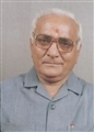 Amrutlal Mohanlal Patel - Mehsana