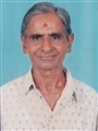 Ramanbhai Manchaddas Patel - Vijapur